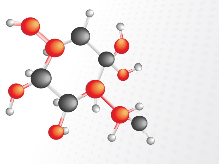 scientific illustration of amino acids
