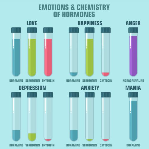emotion and chemistry of hormones. Image emotion hormones